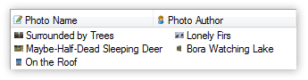 Custom Item Size in List View