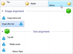 Text and Image Alignment