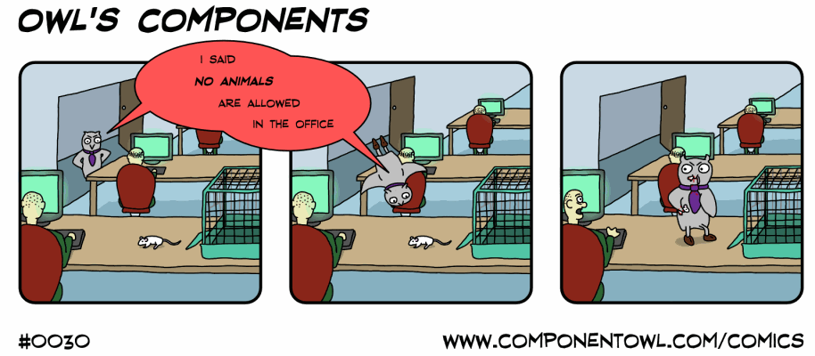 Project Triangle